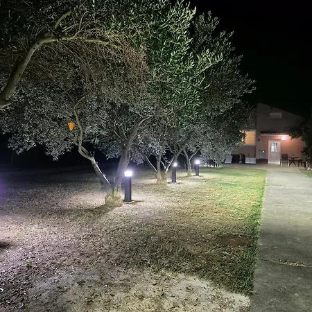 Begonja Privlaka (Zadar)